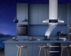 直流無(wú)刷電機(jī)在家用電器發(fā)展趨勢(shì)